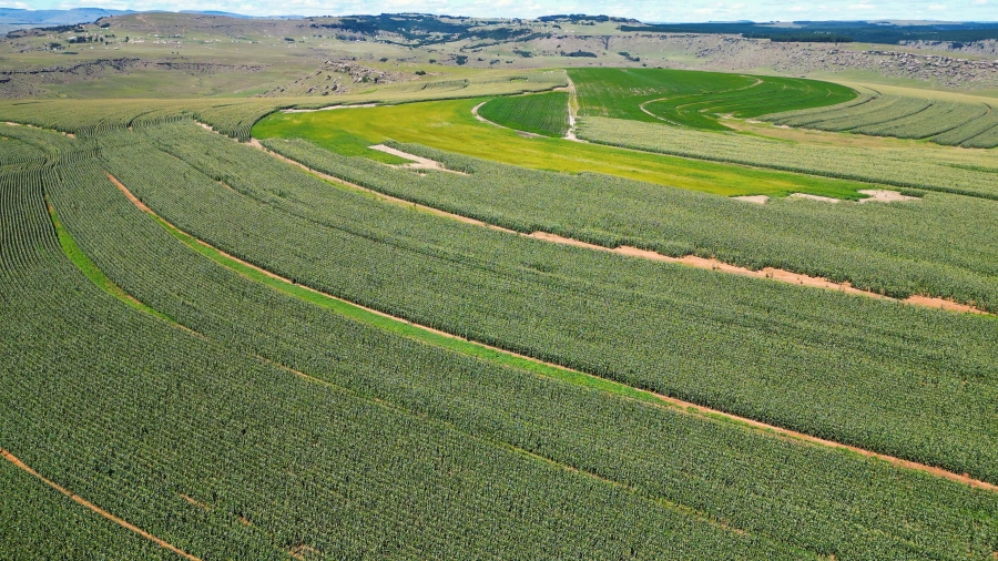 0 Bedroom Property for Sale in Maclear Rural Eastern Cape